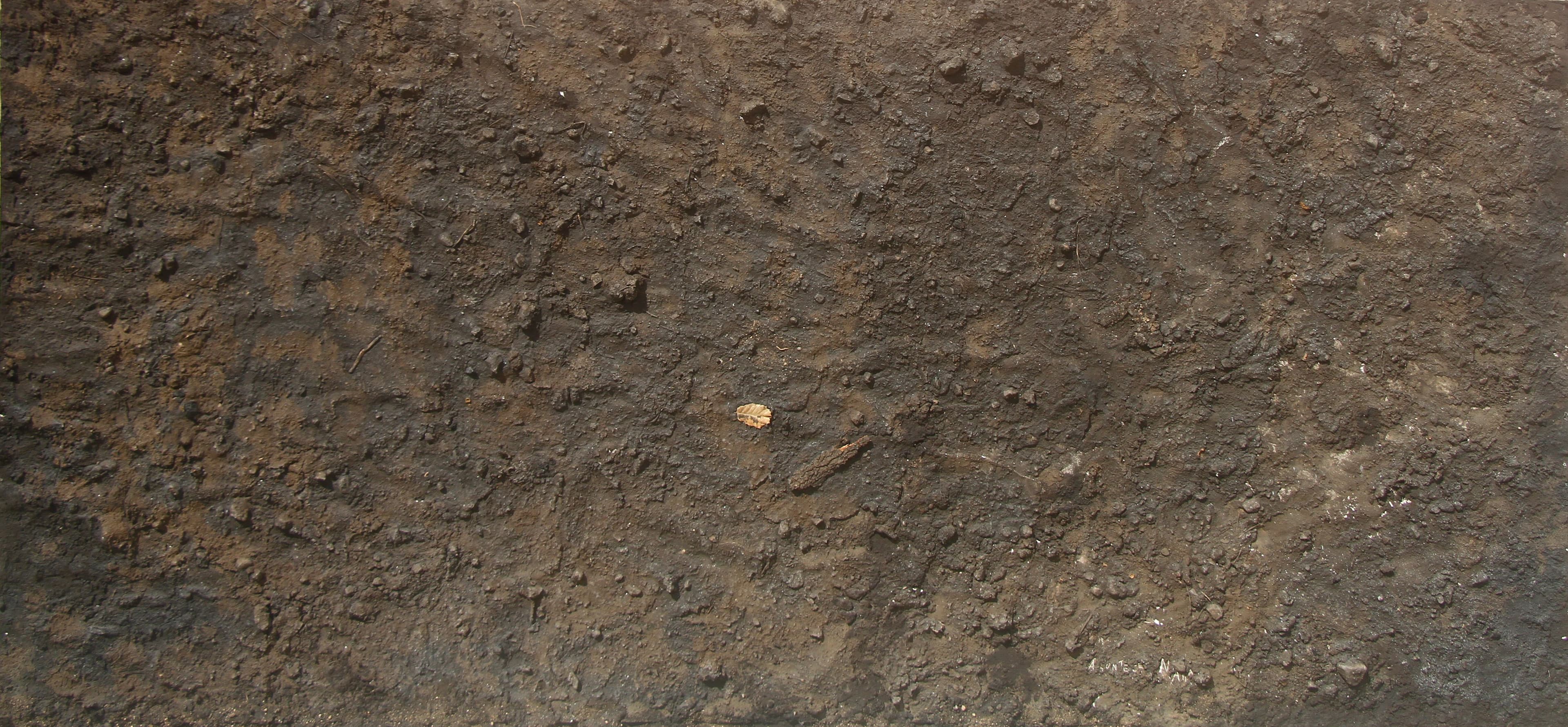 Terra Queimada by João Marques