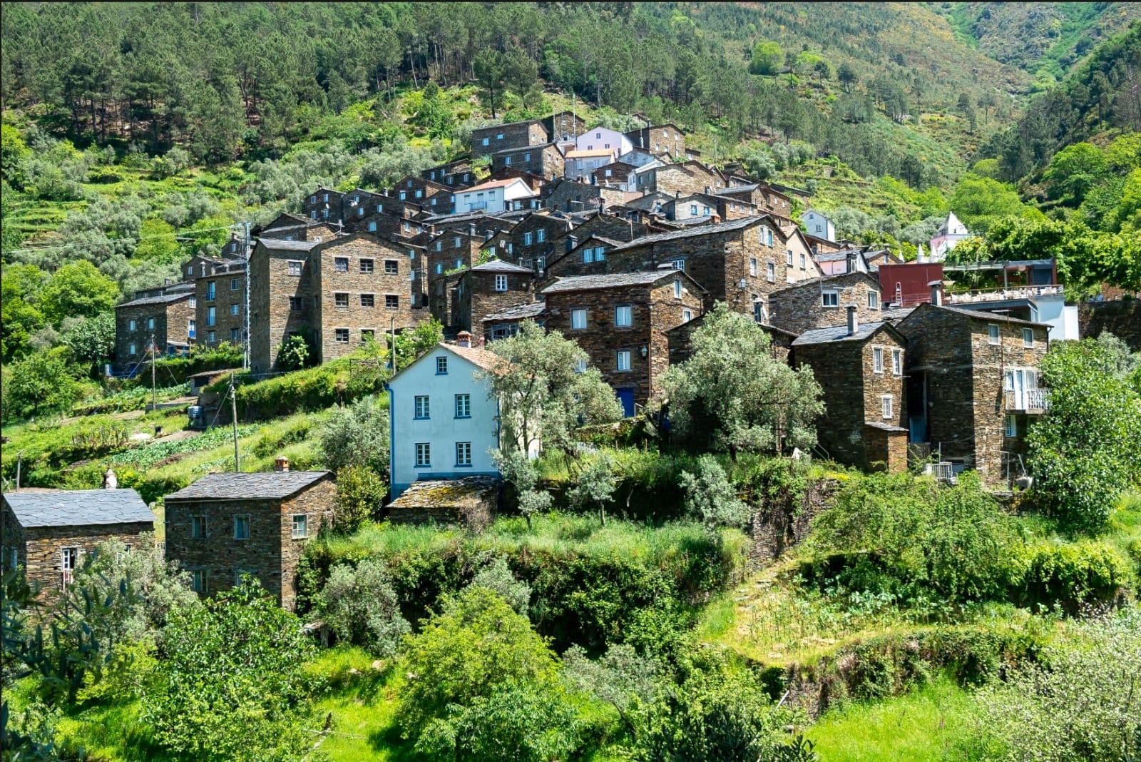 Editorial perspective