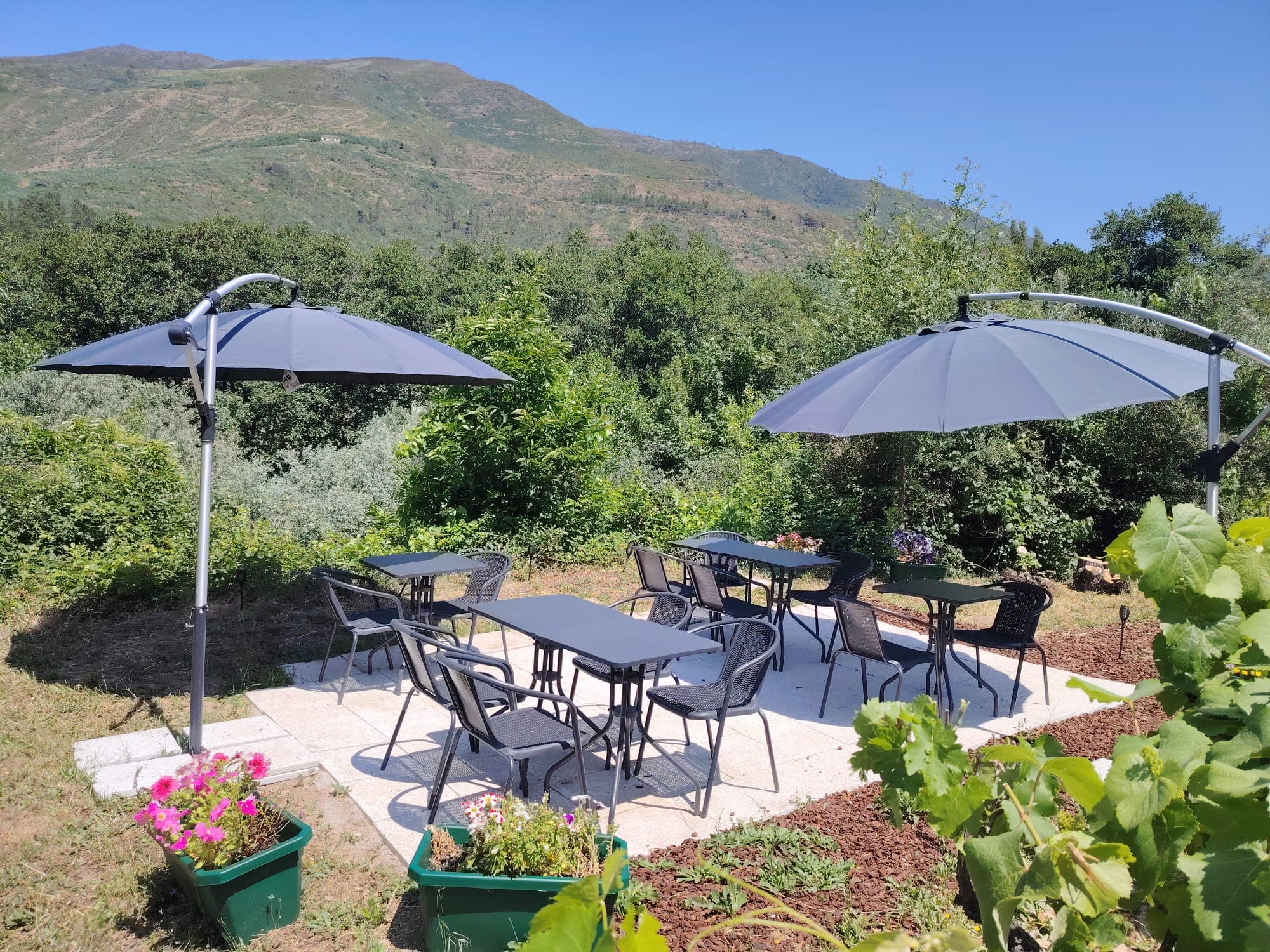 Xochi Art Gallery Terrace
