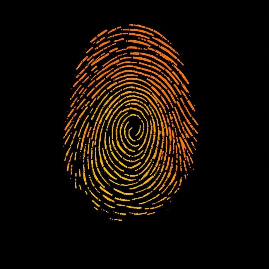 Fragments of Humanity