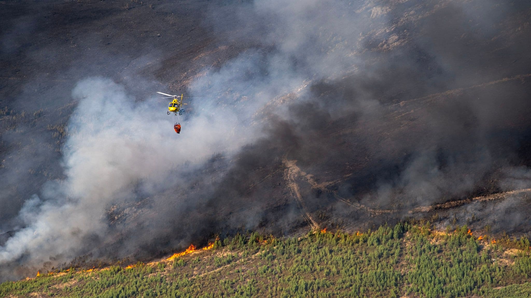 Editorial perspective