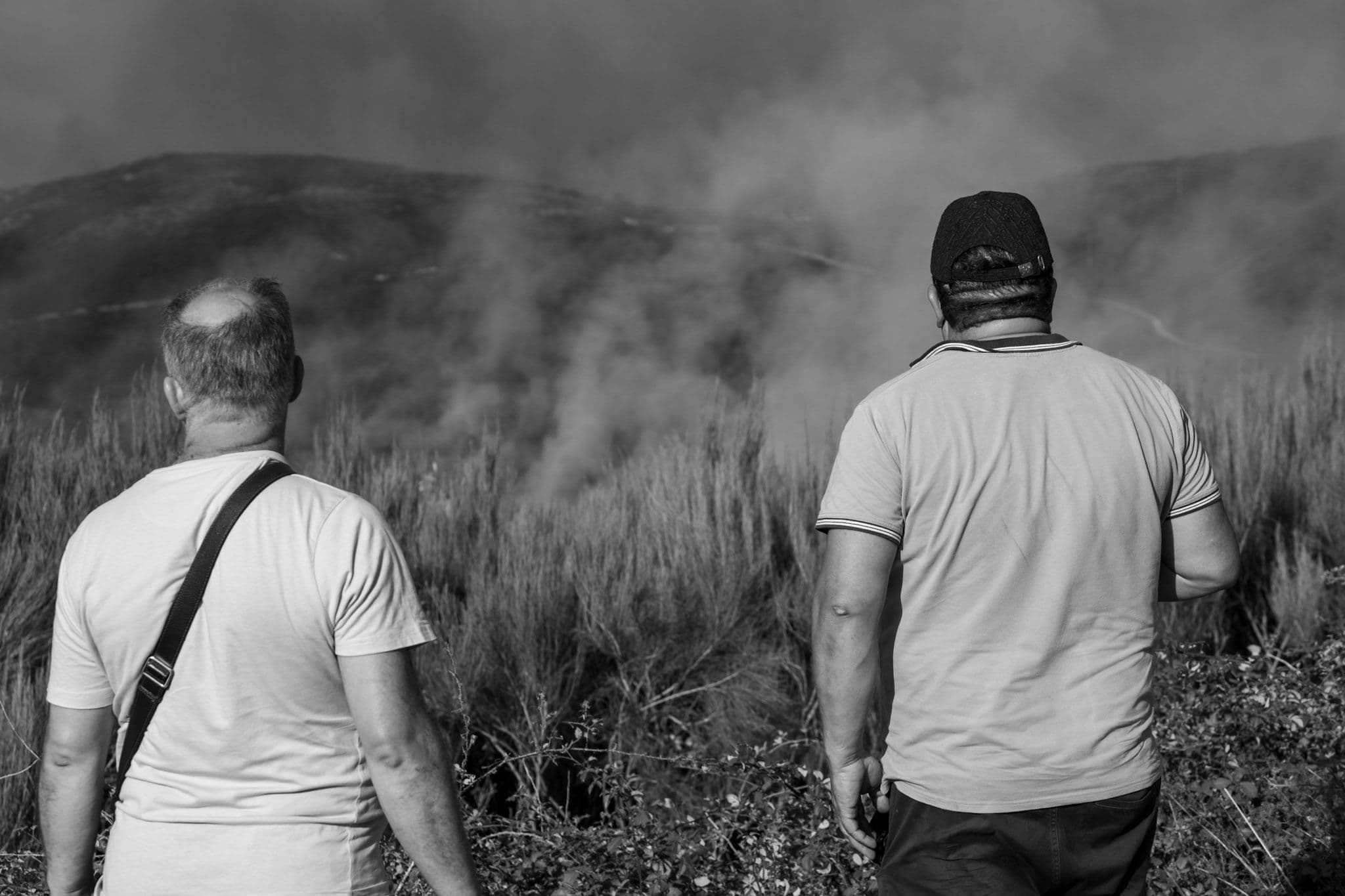 Editorial perspective