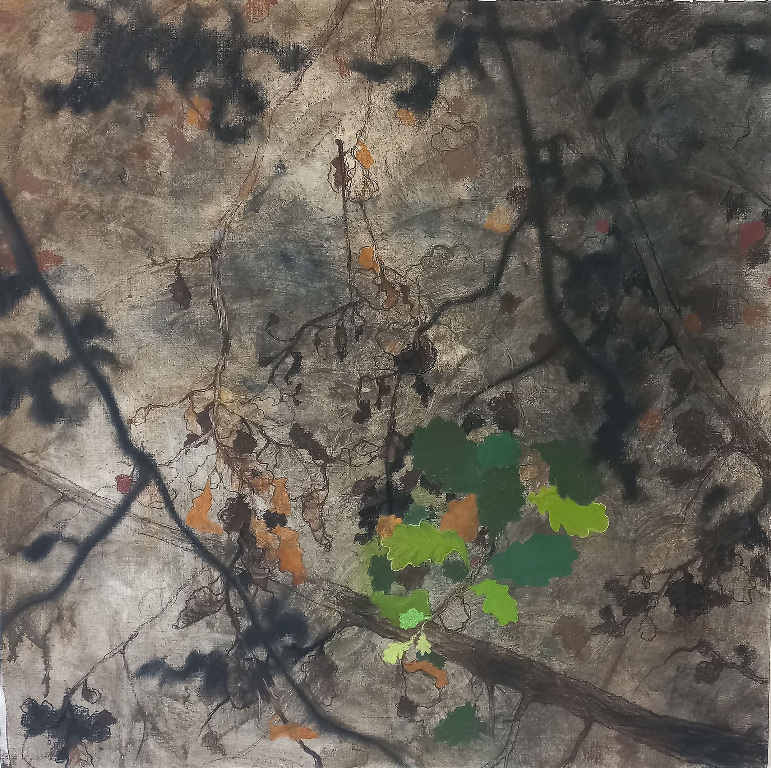 Quito by João Marques