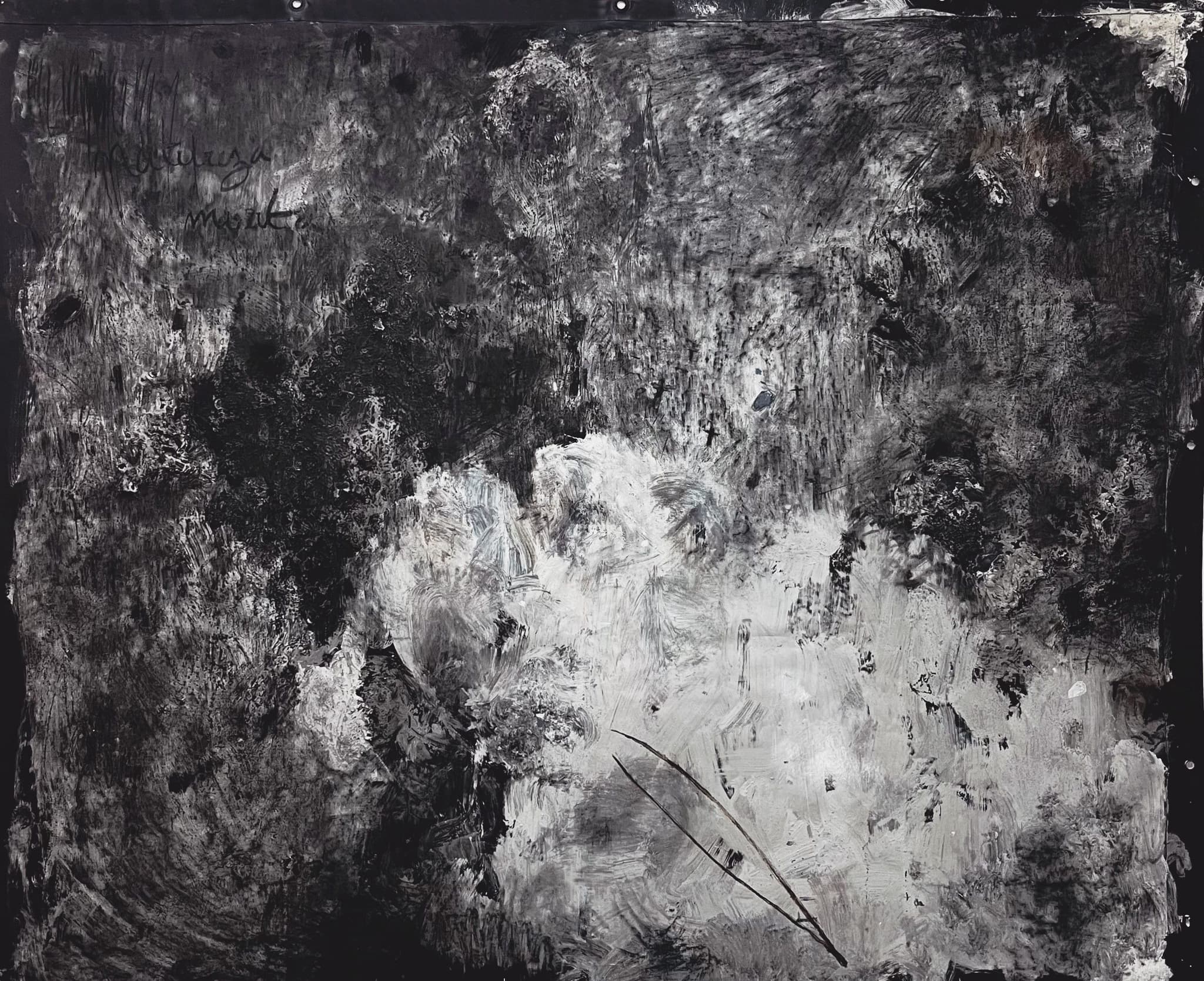 Naturza Morta III by João Marques