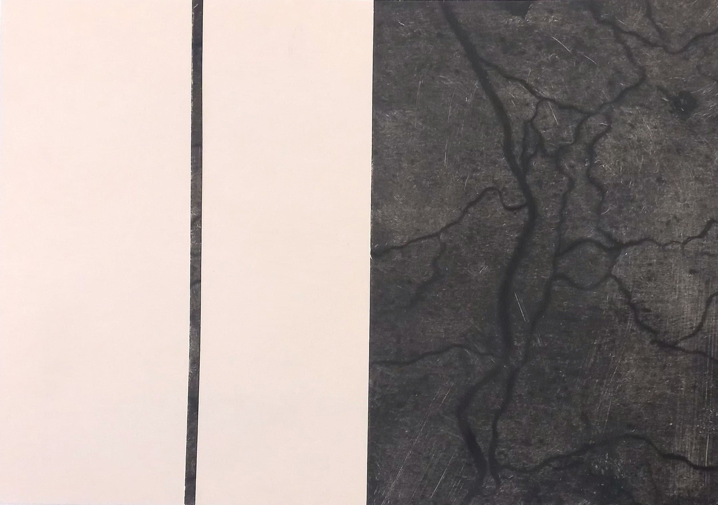 Topografias de um incêndio IV